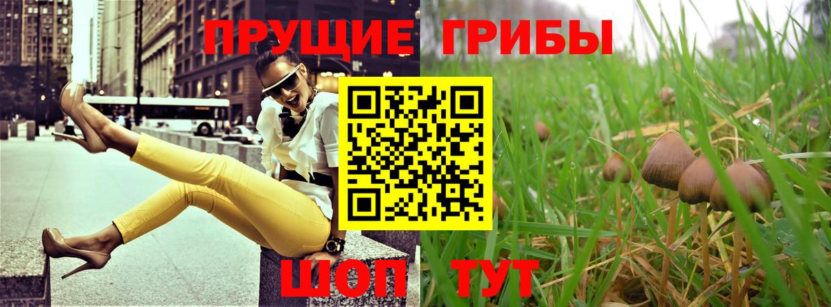 Малоярославец  Псилоцибиновые грибы мицелий  Вход с VPN 